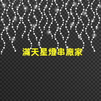 滿天星燈串廠家