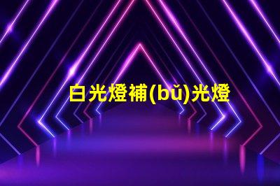 白光燈補(bǔ)光燈