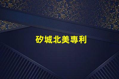 矽城北美專利