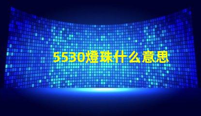 5530燈珠什么意思