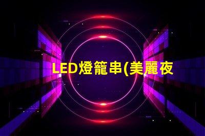 LED燈籠串(美麗夜景裝飾)