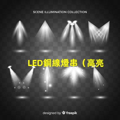 LED銅線燈串（高亮度裝飾照明利器）