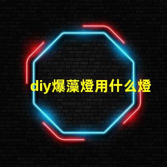 diy爆藻燈用什么燈珠