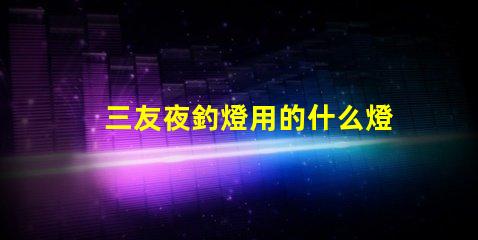 三友夜釣燈用的什么燈珠