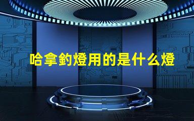 哈拿釣燈用的是什么燈珠