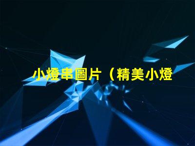 小燈串圖片（精美小燈串的圖片欣賞）