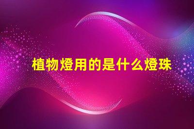 植物燈用的是什么燈珠