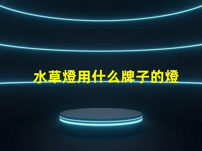 水草燈用什么牌子的燈珠好