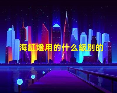 海缸燈用的什么級別的燈珠