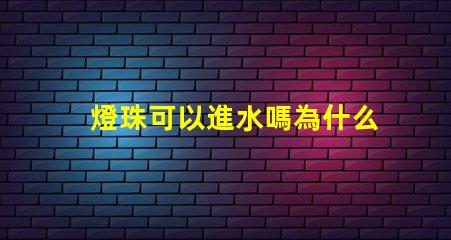 燈珠可以進水嗎為什么