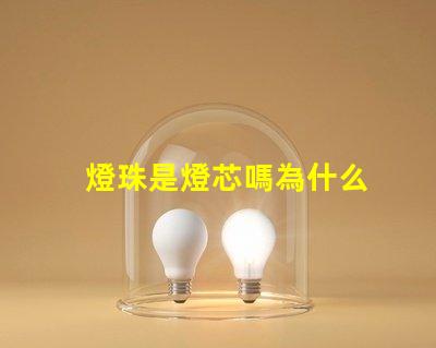 燈珠是燈芯嗎為什么