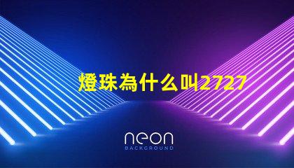 燈珠為什么叫2727燈光