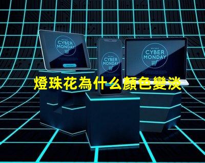 燈珠花為什么顏色變淡