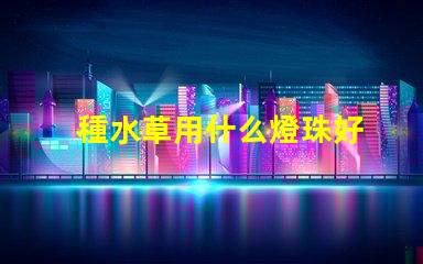 種水草用什么燈珠好
