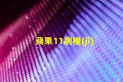 蘋果11刷機(jī)錯(cuò)誤代碼4010
