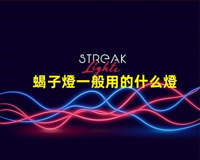 蝎子燈一般用的什么燈珠