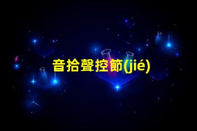 音拾聲控節(jié)奏燈車載（車載音控燈帶,打造個性車內(nèi)氛圍）