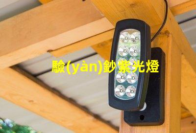 驗(yàn)鈔紫光燈用的什么燈珠